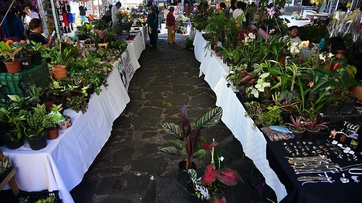 WhatsApp Image 2026-03-06 at 2.01.55 PM (1)