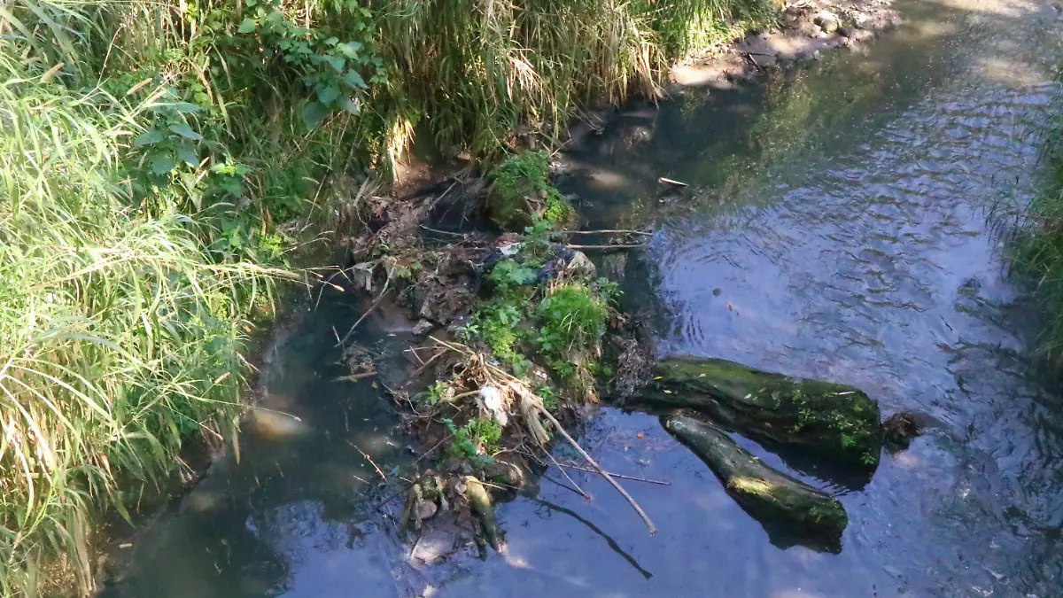 Estiaje | falta de agua