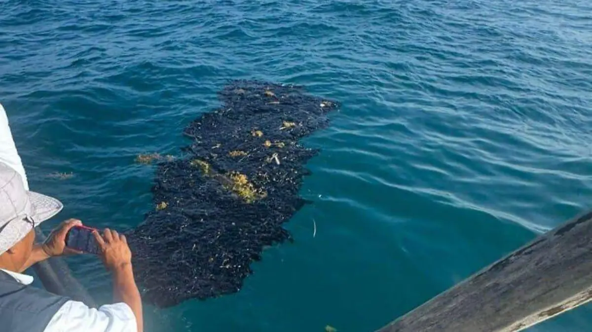 WhatsApp Image 2026-03-09 at 8.24.28 PM (1)