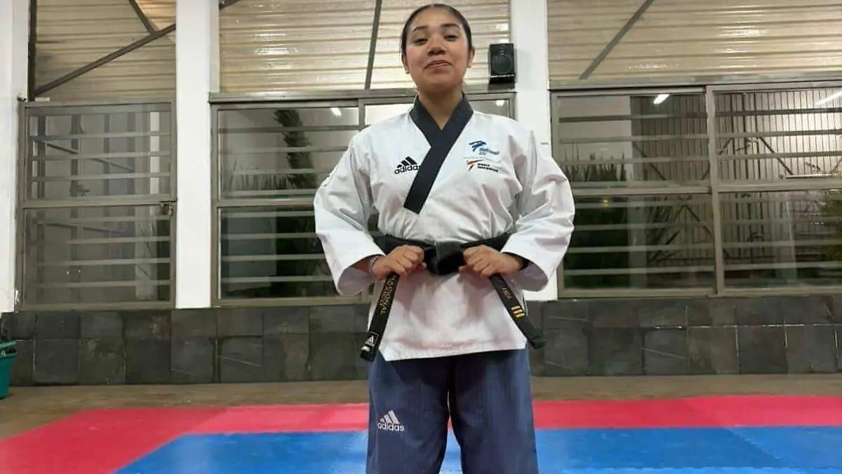 Ariadne Nitzu Hernández Landa