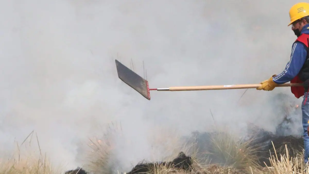 david incendios forestales 2022 las vigas8711