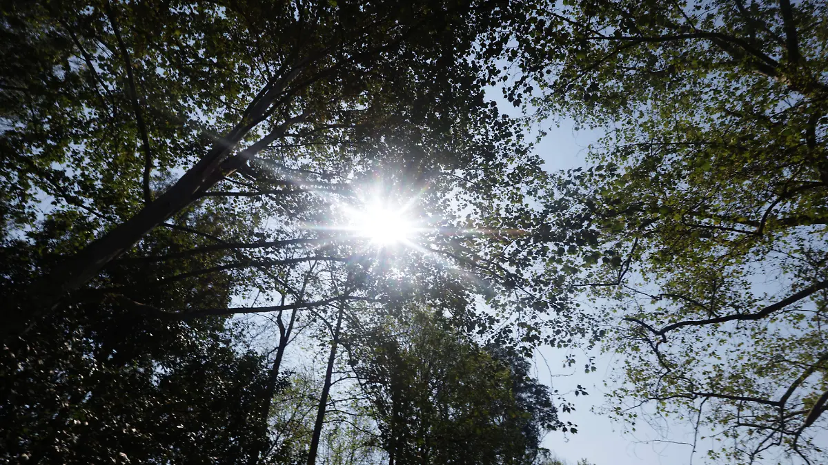 migranas calentamiento