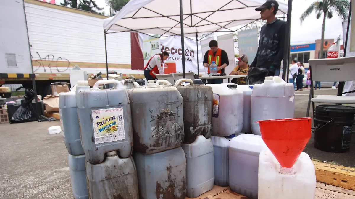 reciclaton basura carton (72)