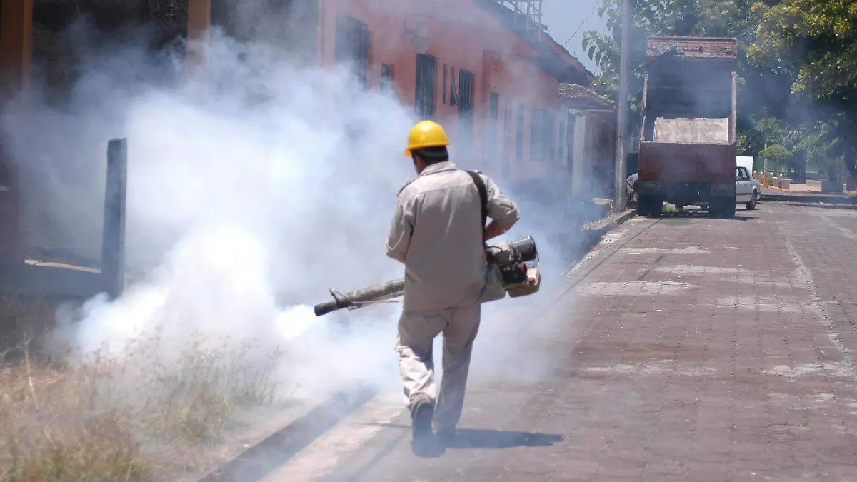 JE-FUMIGACION-DENGUE