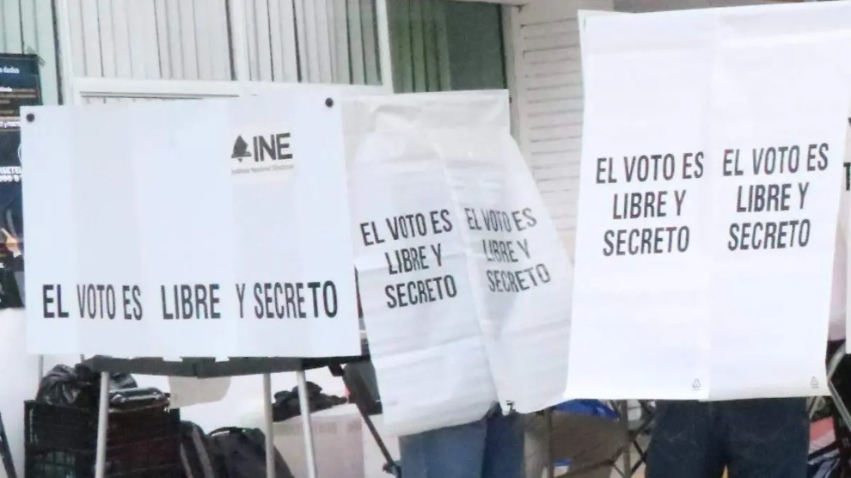 david- Elección Extraordinaria