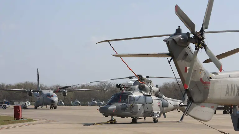 WhatsApp Image 2026-03-12 at 7.53.19 PM