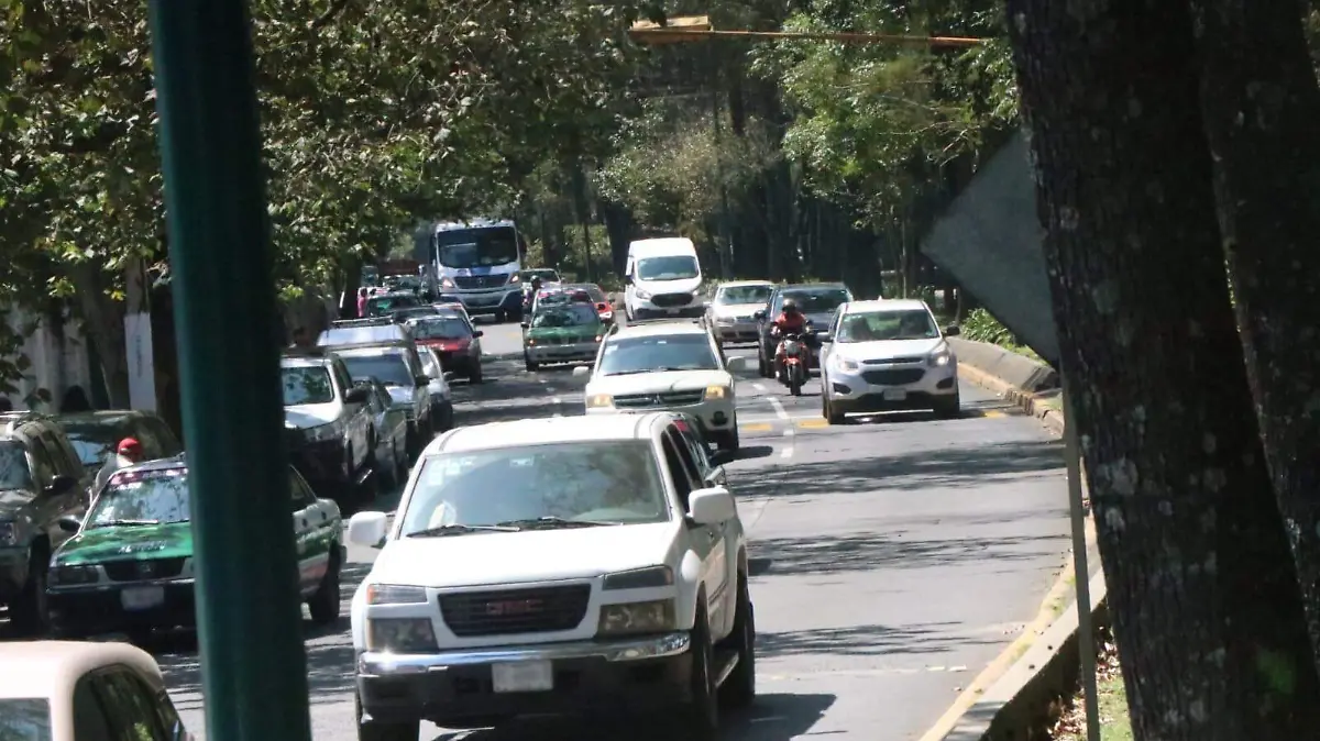 Canje de placas 2026