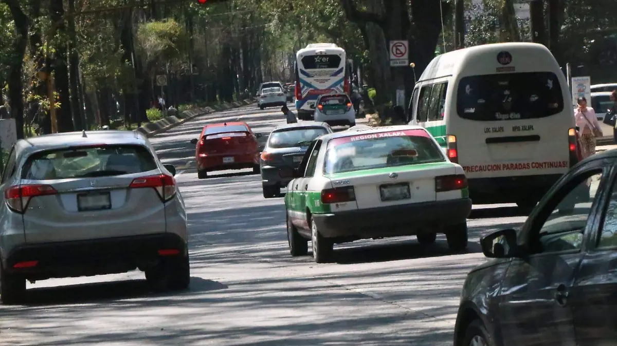 Canje de placas 2026