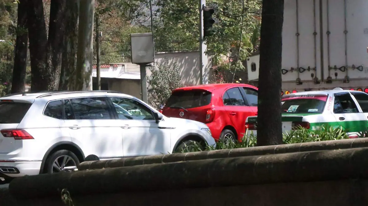 WhatsApp Image 2026-03-13 at 20.38.02