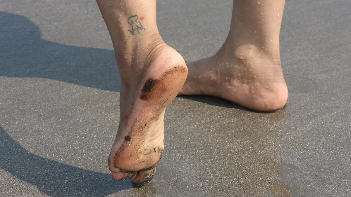 91b9a892-da22-4aef-8669-78408d5a4b9b-1_all_124911