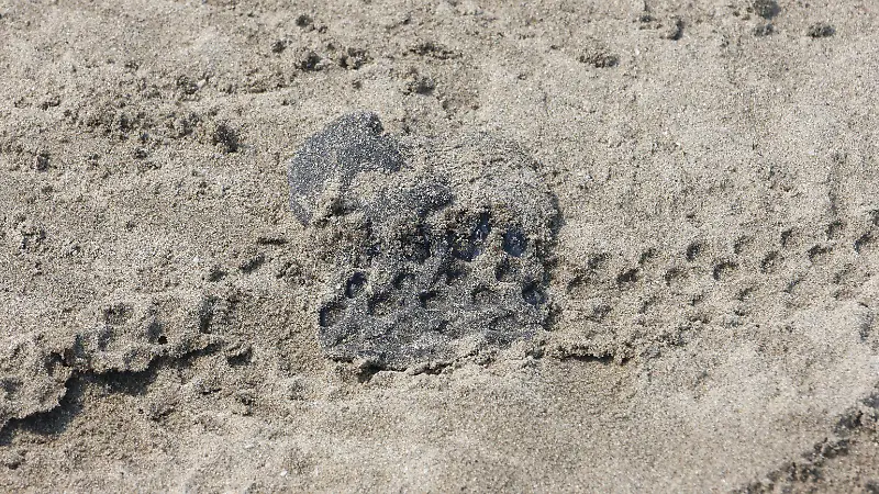 Derrame de hidrocarburo en el Golfo de México, ya afectó a 25 mil pescadores de Veracruz