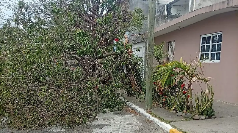 Afectaciones del Frente frío 41 