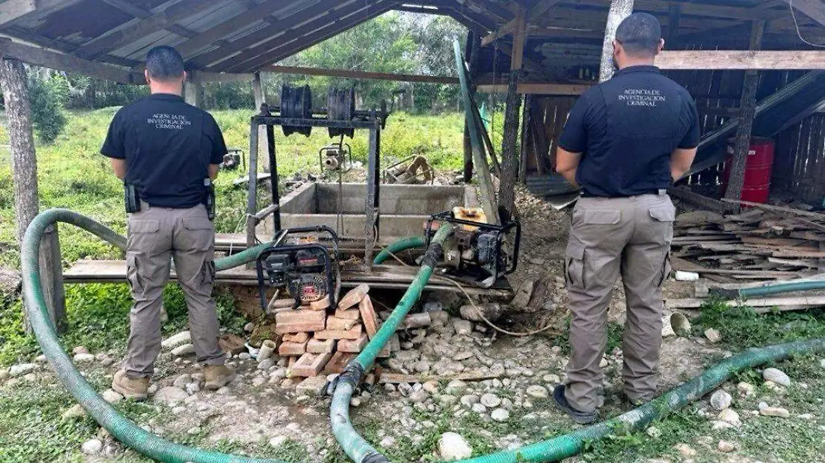 WhatsApp Image 2026-03-17 at 15.20.11 (1)