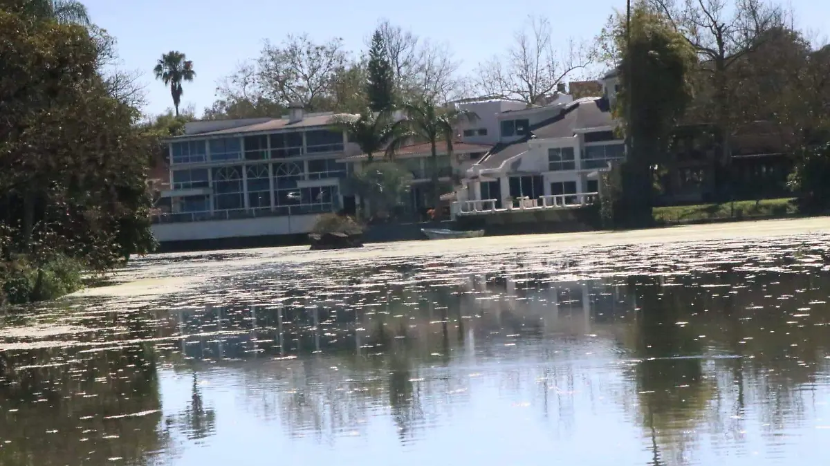 WhatsApp Image 2026-03-17 at 3.16.51 PM (1)