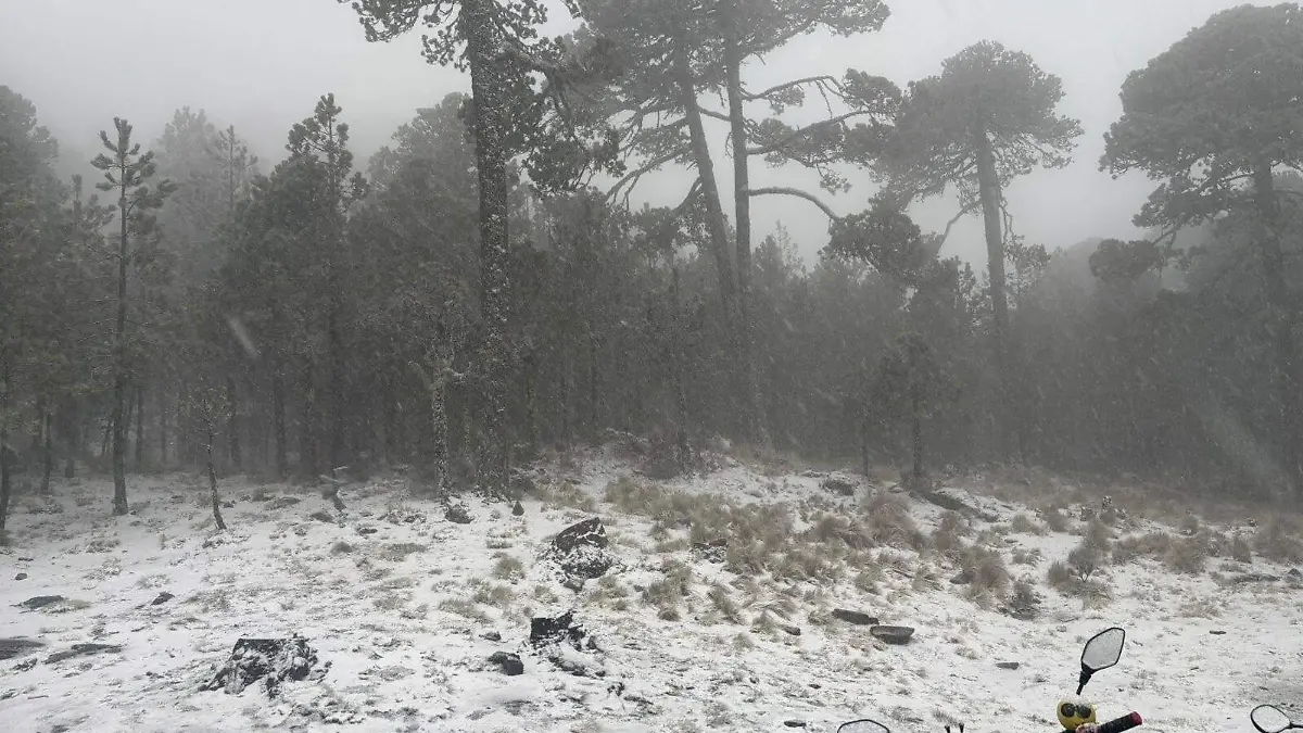 654479510_10236300301020322_4872335231136719428_n