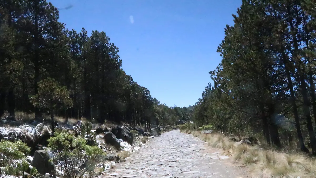 Deforestación en Veracruz