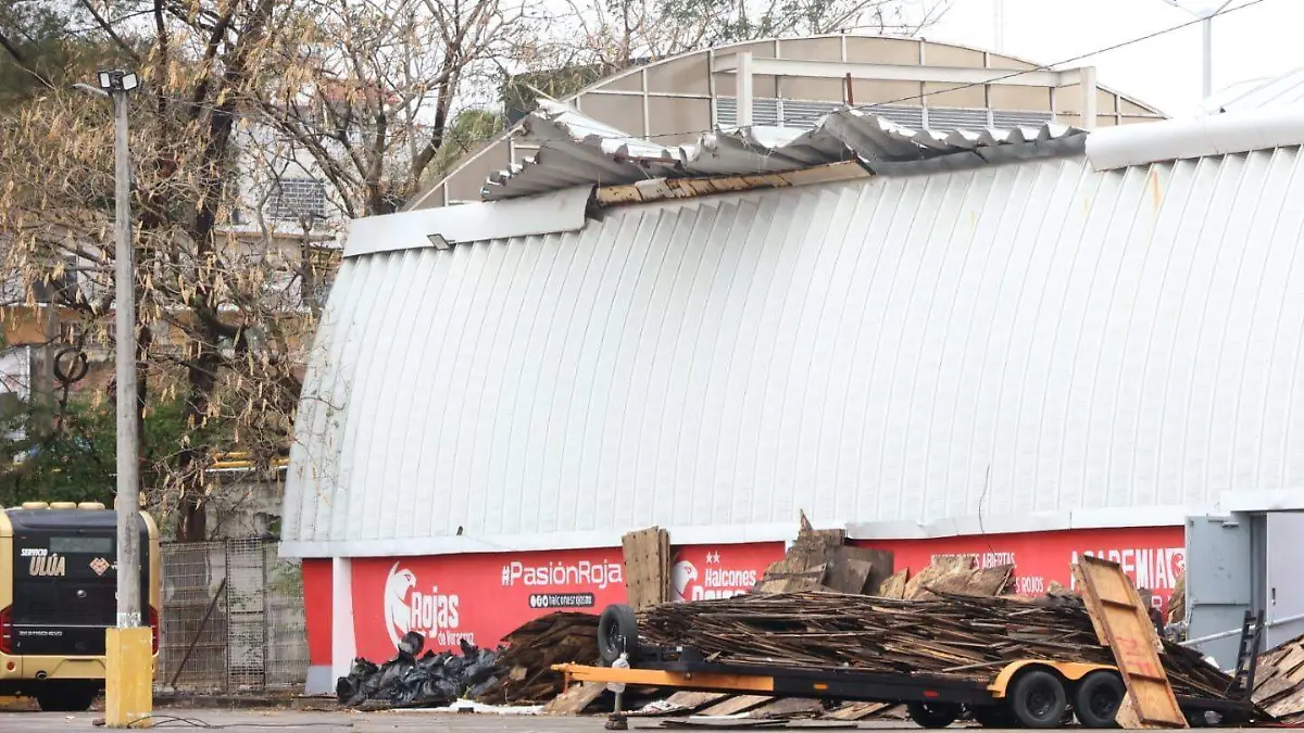 WhatsApp Image 2026-03-19 at 14.27.16