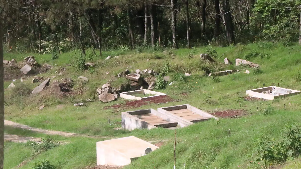 david- panteón Bueno  Tlanehuayocan 