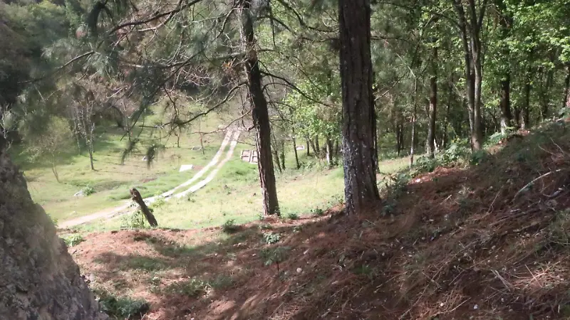 Panteón nuevo Tlalnelhuayocan 