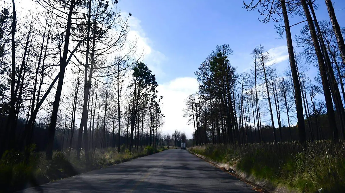 incendios forestales 