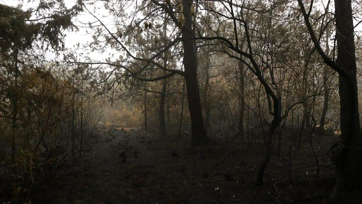 WhatsApp Image 2026-03-20 at 15.18.15