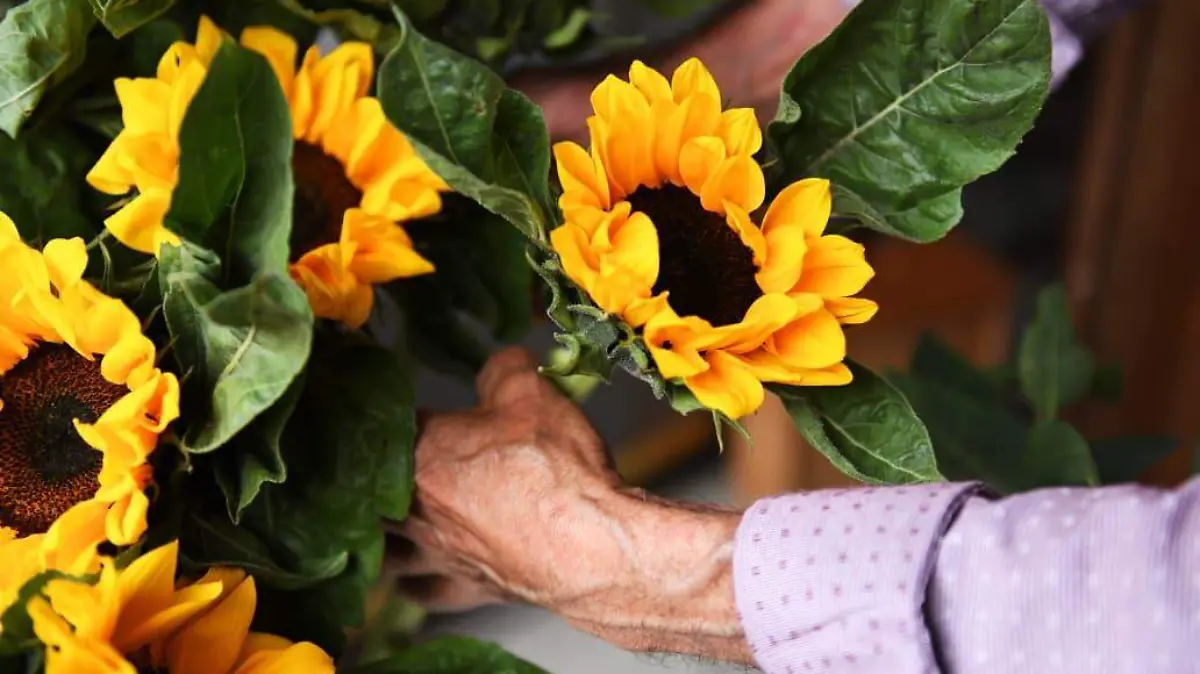 WhatsApp Image 2026-03-20 at 3.36.25 PM (2)