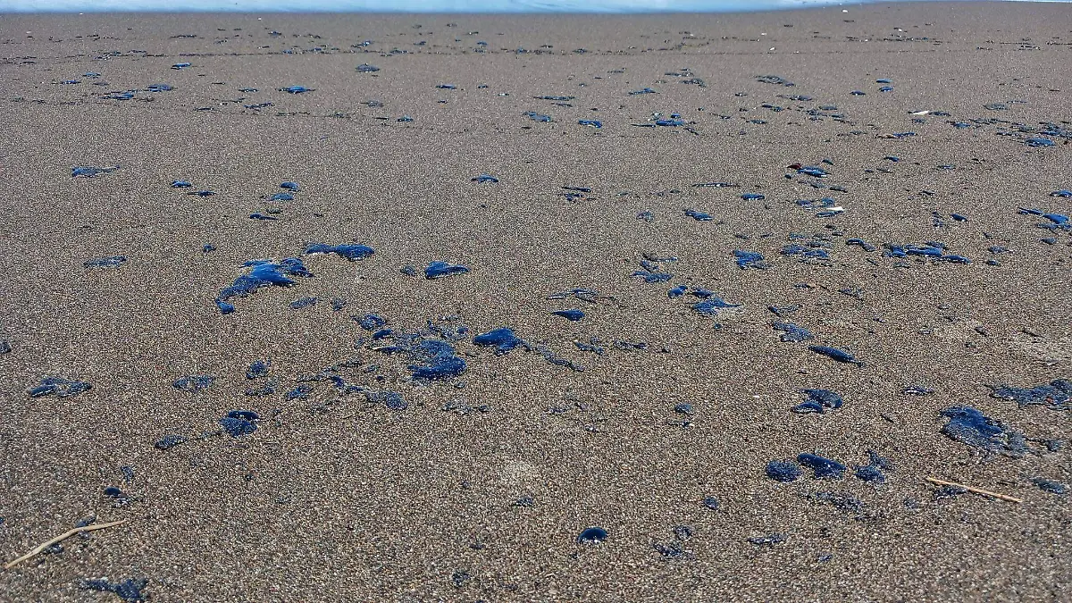 656942170_122128359099093719_2715897204568583563_n