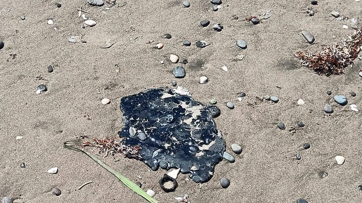 656164171_122117994369201973_8485676633529923738_n