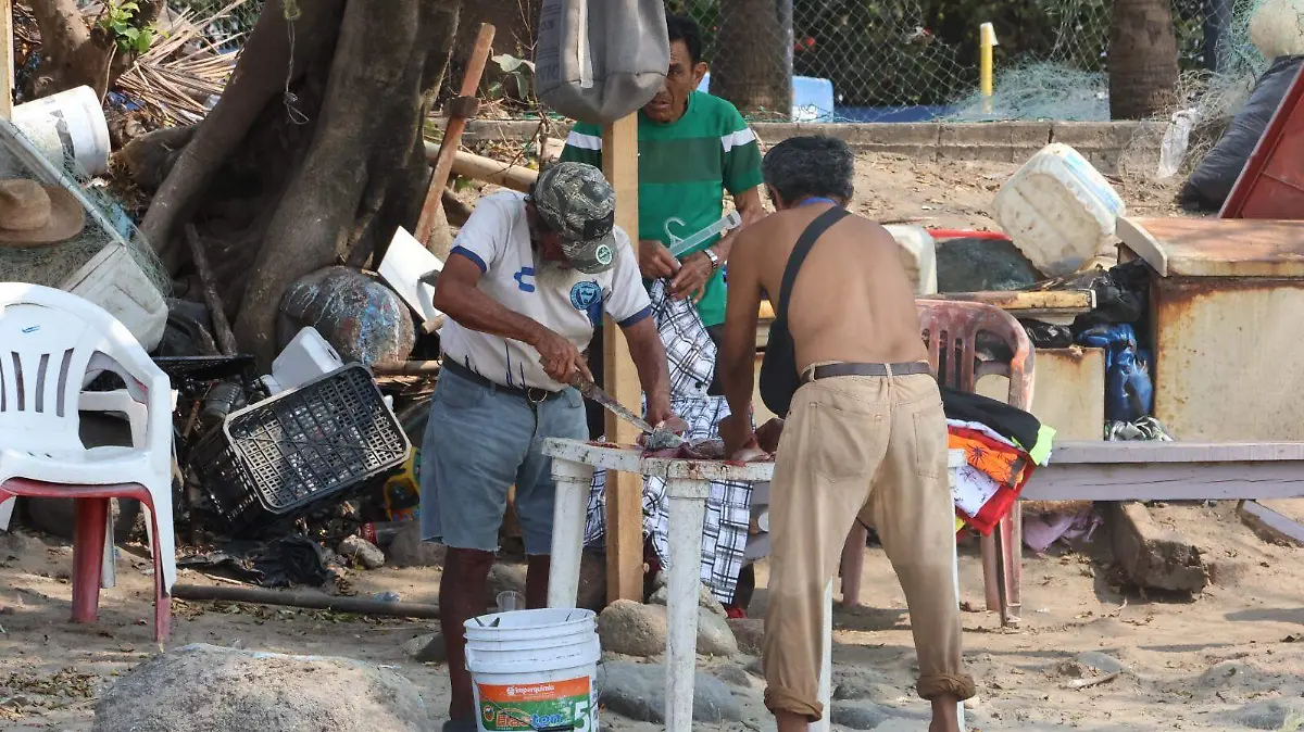 WhatsApp Image 2026-03-23 at 9.23.12 PM (8)