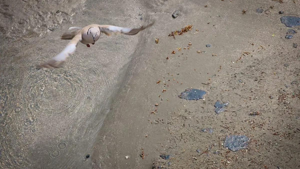 WhatsApp Image 2026-03-23 at 9.31.45 PM