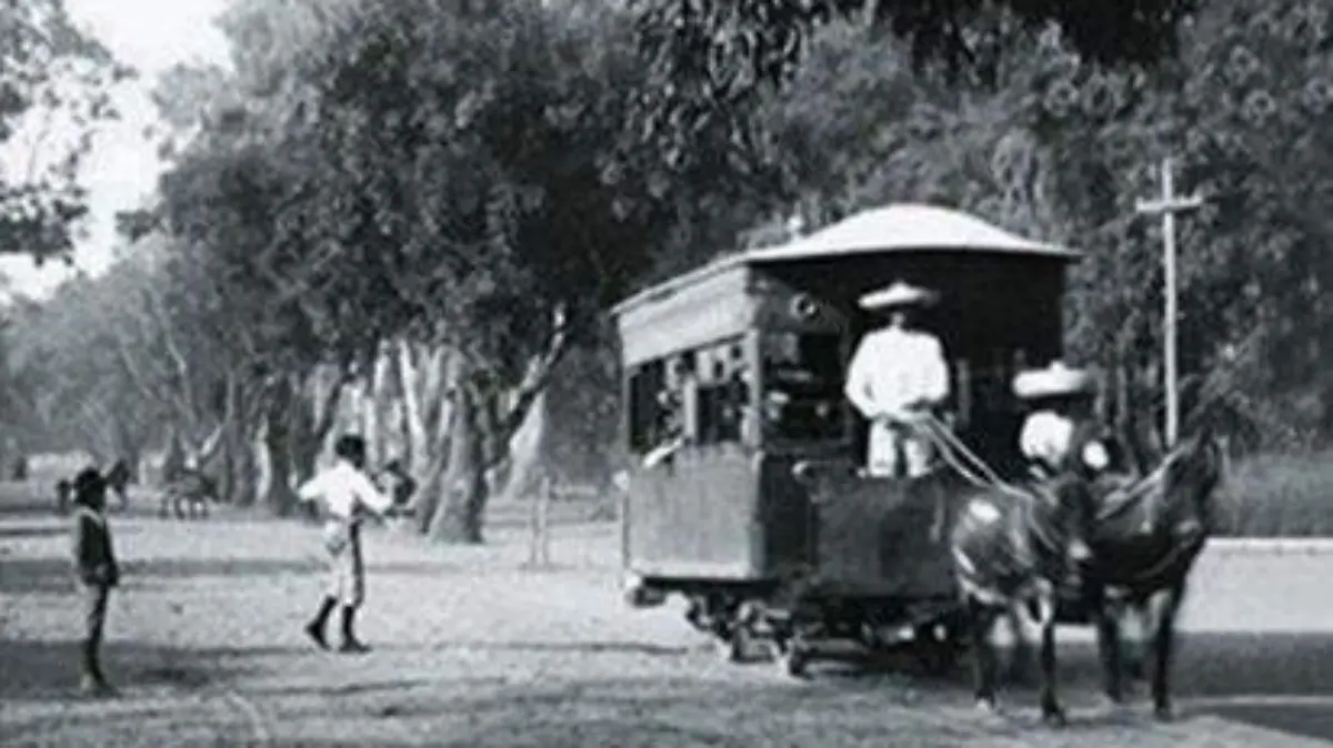 tren de mulitas