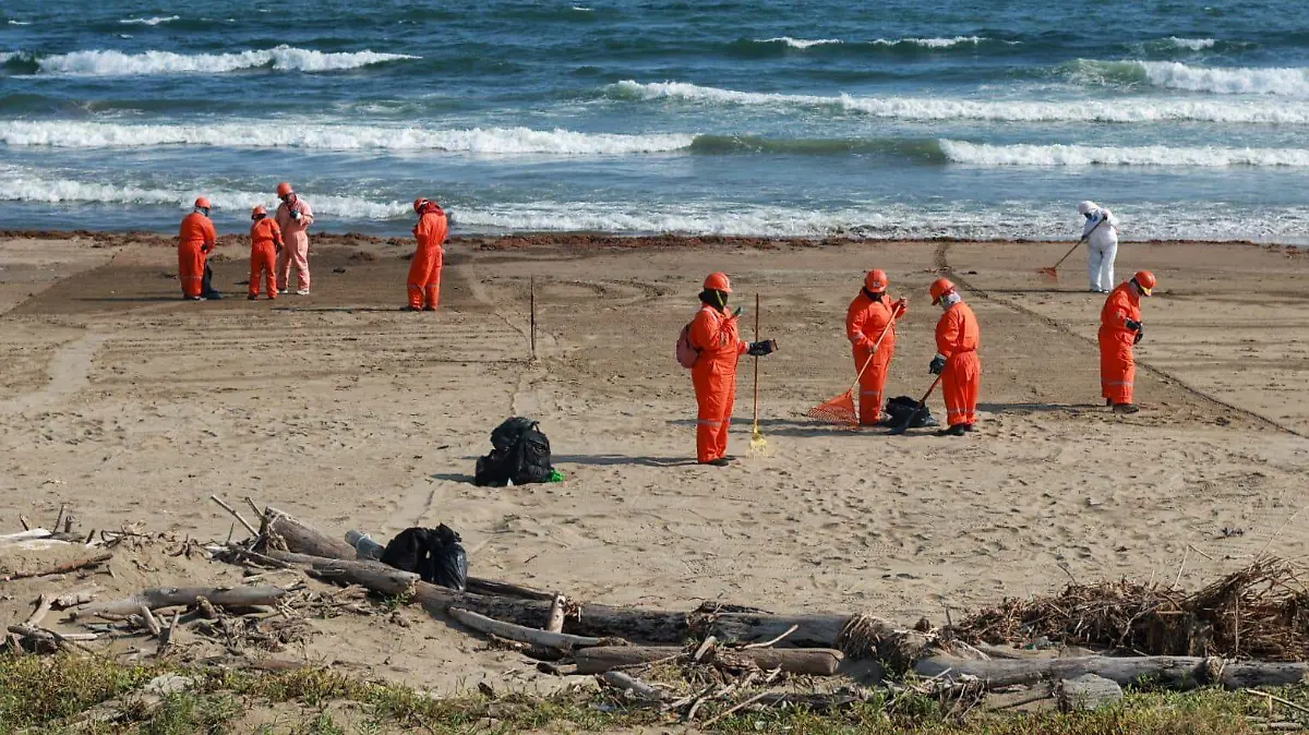 WhatsApp Image 2026-03-25 at 09.30.23 (1)