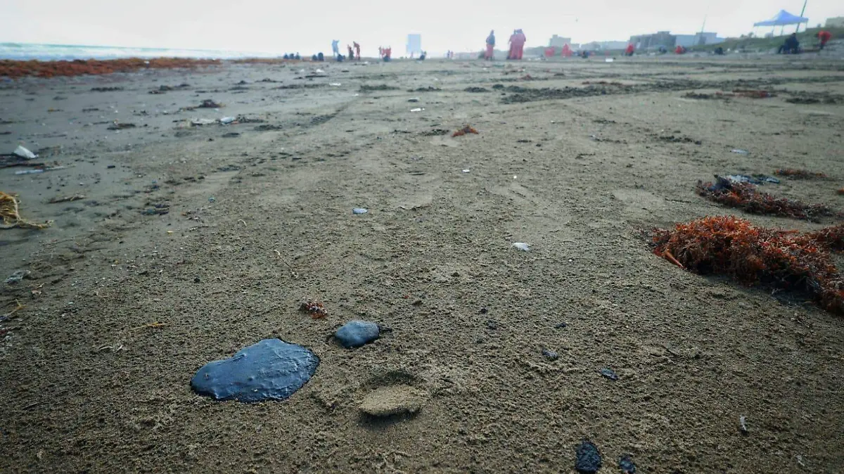 WhatsApp Image 2026-03-25 at 09.30.22 (3)