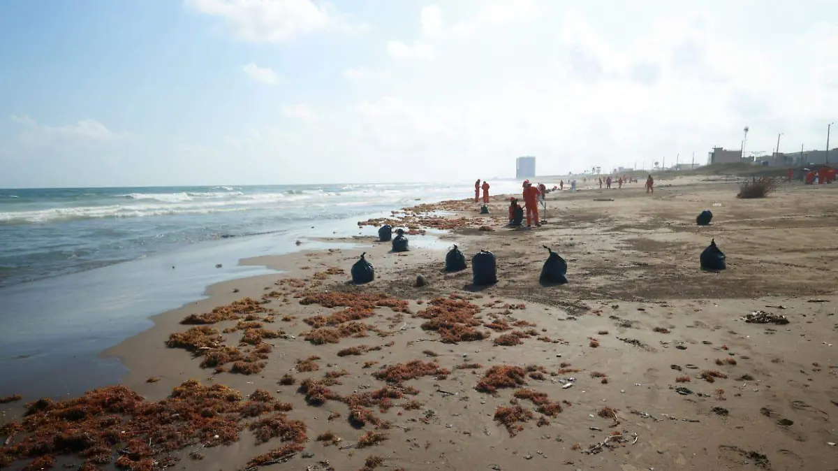 WhatsApp Image 2026-03-25 at 09.30.22 (2)