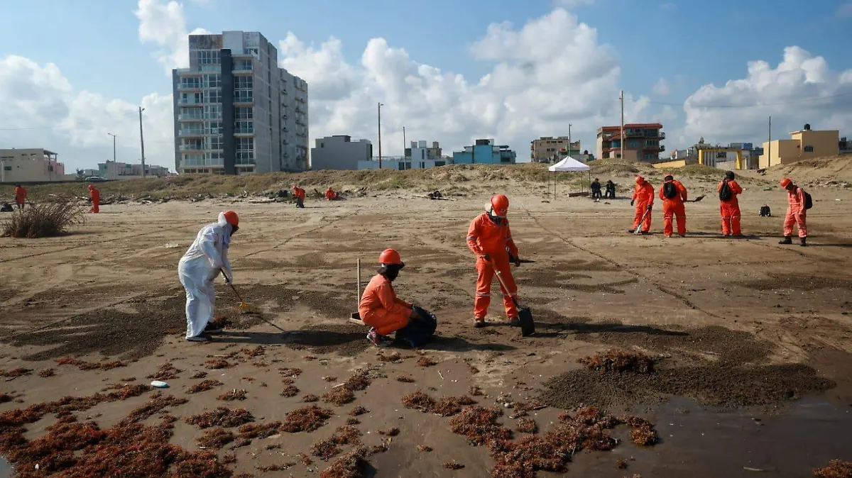 WhatsApp Image 2026-03-25 at 09.30.22 (1)