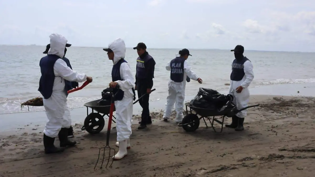 WhatsApp Image 2026-03-25 at 5.22.32 PM (7)