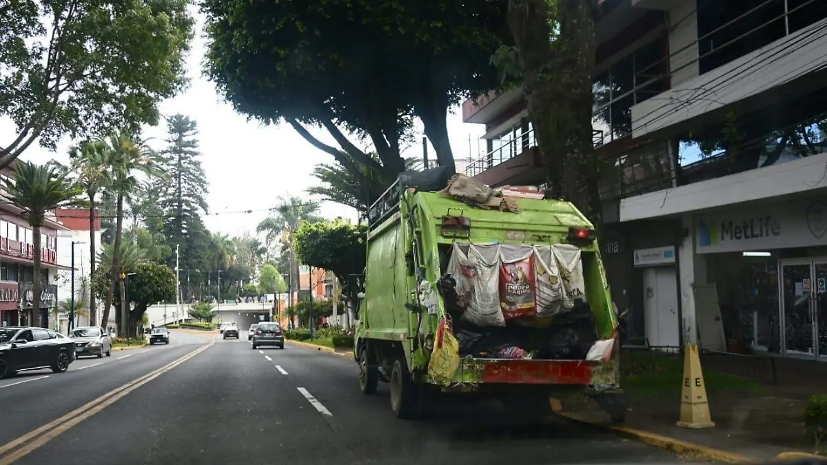 WhatsApp Image 2026-03-26 at 11.41.49