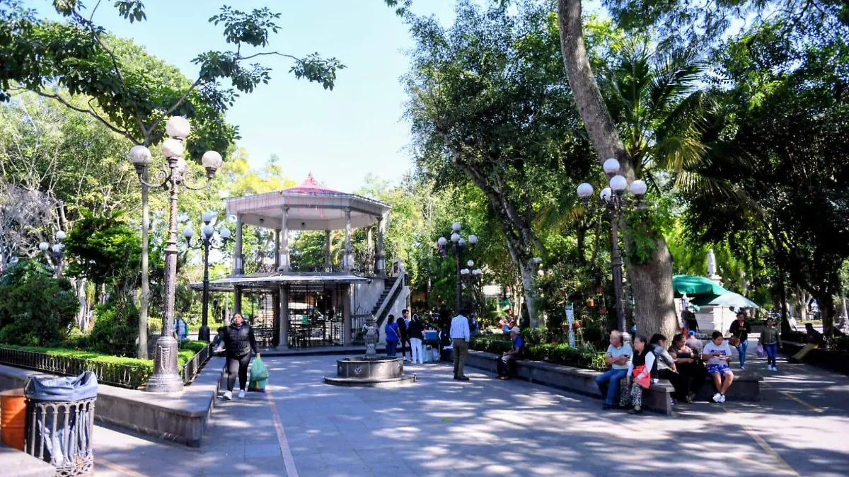 WhatsApp Image 2026-03-26 at 12.15.22 (1)