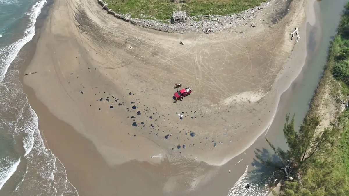 1074640_Veracruz Desastre Ecológico_impreso