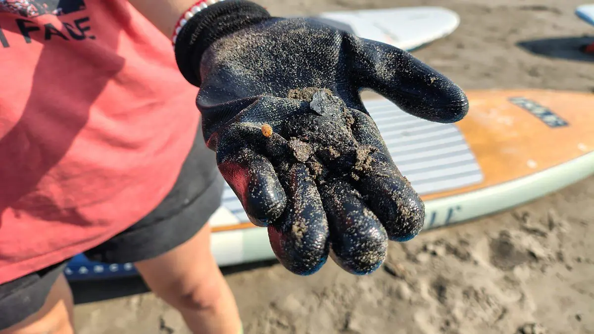 WhatsApp Image 2026-03-27 at 11.32.26 (1)