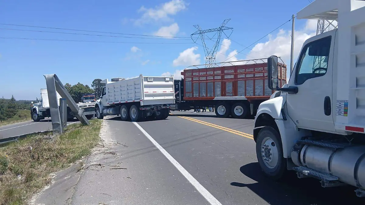 WhatsApp Image 2026-03-27 at 13.15.47