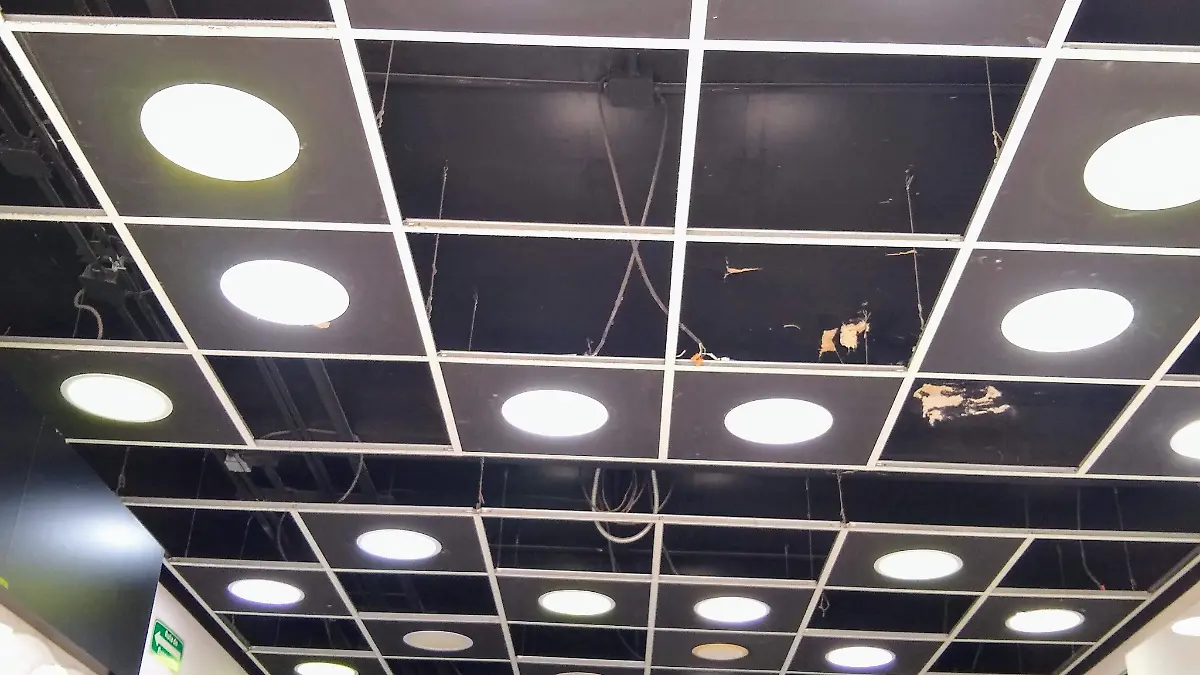 IMG_20260328_123525378