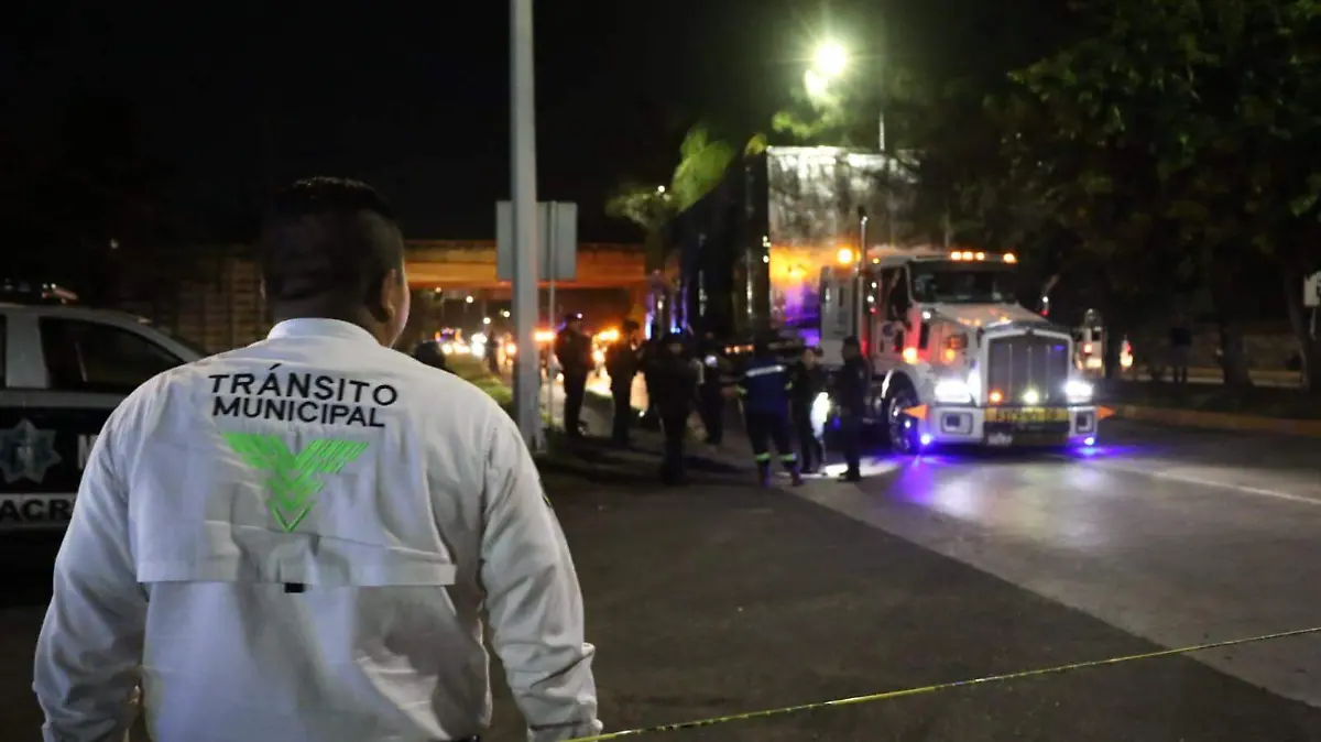 WhatsApp Image 2026-03-30 at 9.39.12 PM