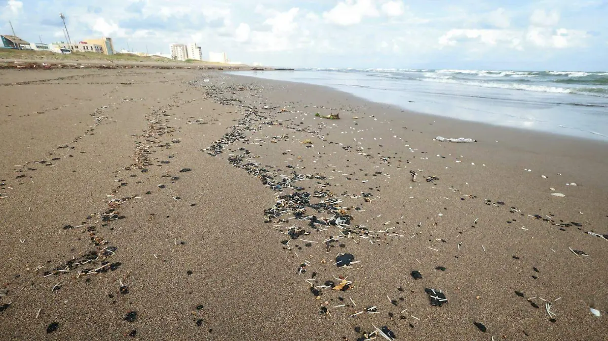 WhatsApp Image 2026-03-31 at 09.52.49 (1)