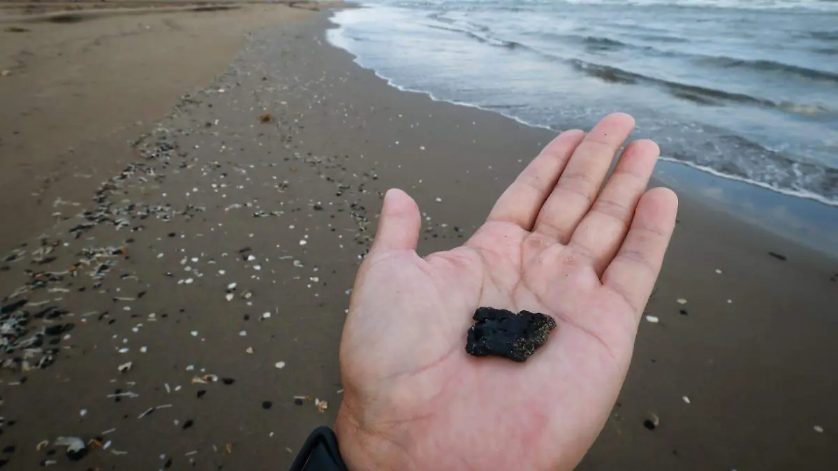 WhatsApp Image 2026-03-31 at 09.52.49