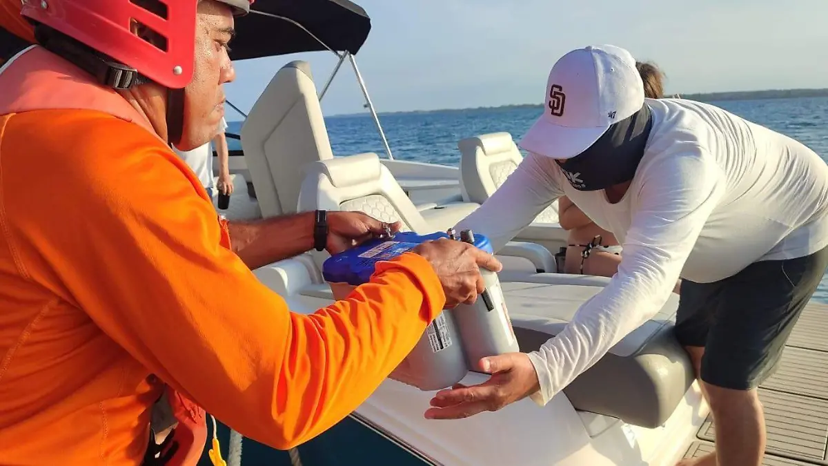 WhatsApp Image 2026-03-31 at 14.13.54