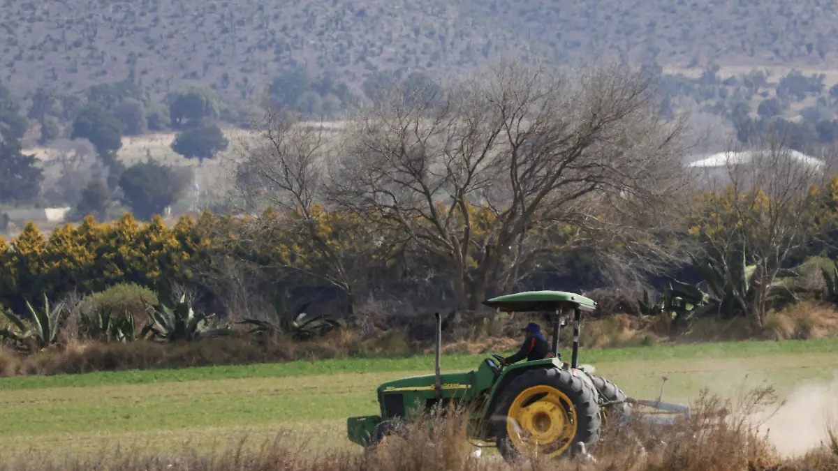 Campo Zalayeta (146)