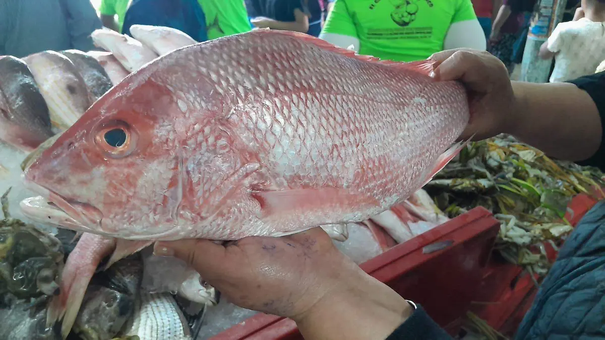 Pescaderías de La Rotonda reportan aumento en ventas este viernes santo