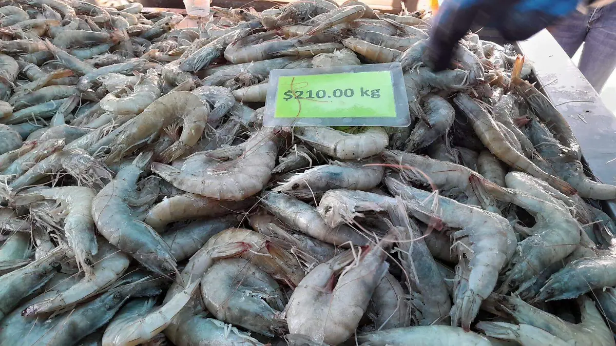 Pescaderías de La Rotoda en Xalapa