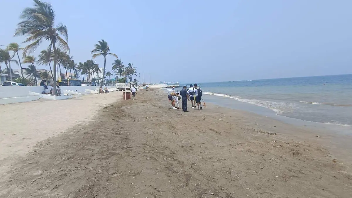 WhatsApp Image 2026-04-04 at 1.14.21 PM (1)